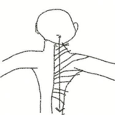 spine connection